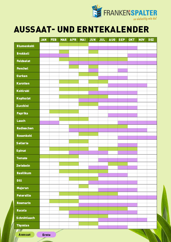 Aussaat-_Erntekalender_NEU